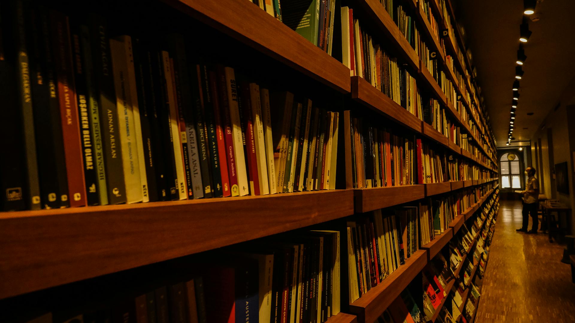 Long shelves filled with books in a warmly lit library interior, ideal for reading enthusiasts.